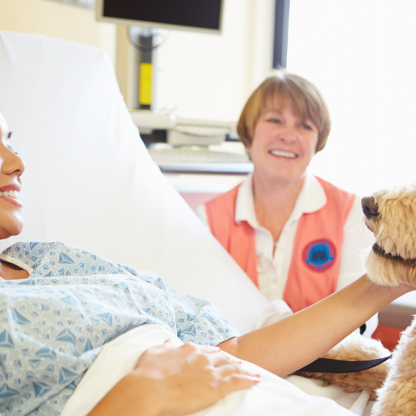 Incorporating Pet Therapy into Mental Health Treatment Plans